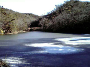 Pond
