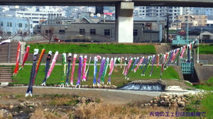 Koinobori