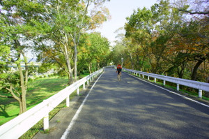 Cyclist