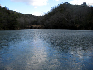 Pond