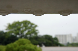 Rain