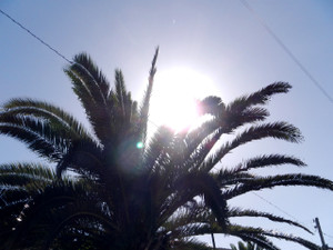 Summer