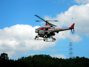 Heli