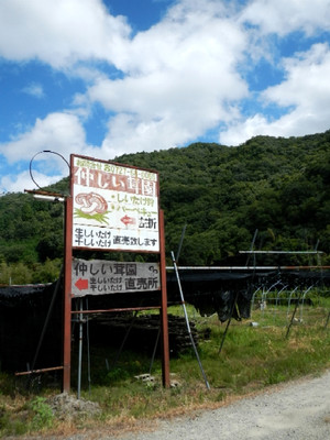 Naka