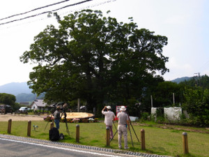 Keyaki