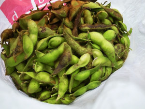 Edamame