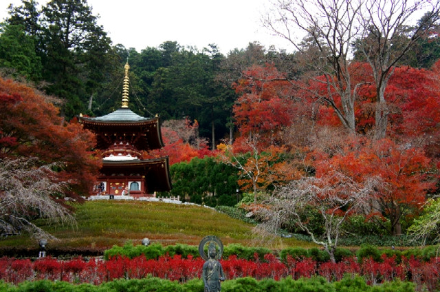 Katsuoji